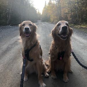 Meet your Posher, Joseph